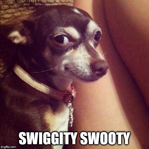 swiggity swooty | SWIGGITY SWOOTY | image tagged in swiggity swooty | made w/ Imgflip meme maker