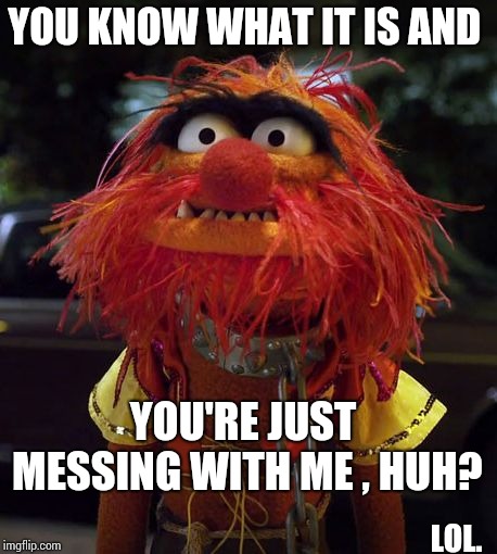Muppet Animal | YOU KNOW WHAT IT IS AND YOU'RE JUST MESSING WITH ME , HUH? LOL. | image tagged in muppet animal | made w/ Imgflip meme maker
