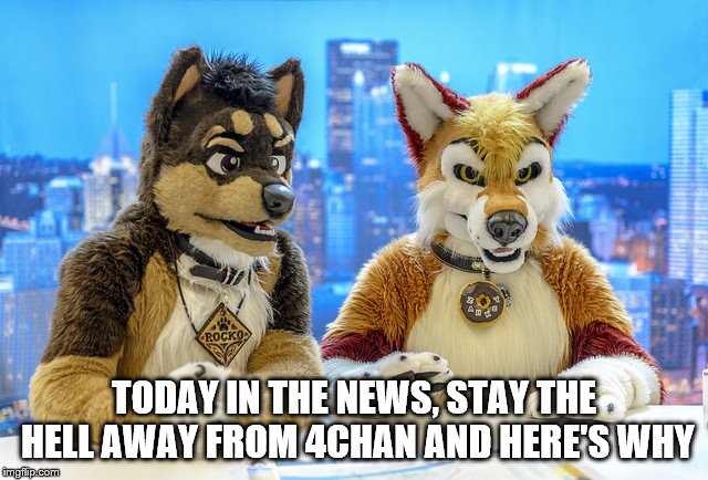 Furry News | TODAY IN THE NEWS, STAY THE HELL AWAY FROM 4CHAN AND HERE'S WHY | image tagged in furry news | made w/ Imgflip meme maker