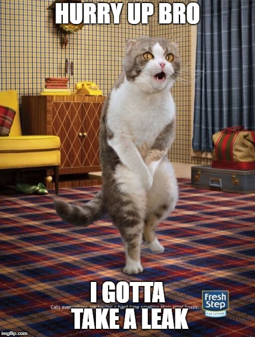 Gotta Go Cat Meme | HURRY UP BRO; I GOTTA TAKE A LEAK | image tagged in memes,gotta go cat | made w/ Imgflip meme maker