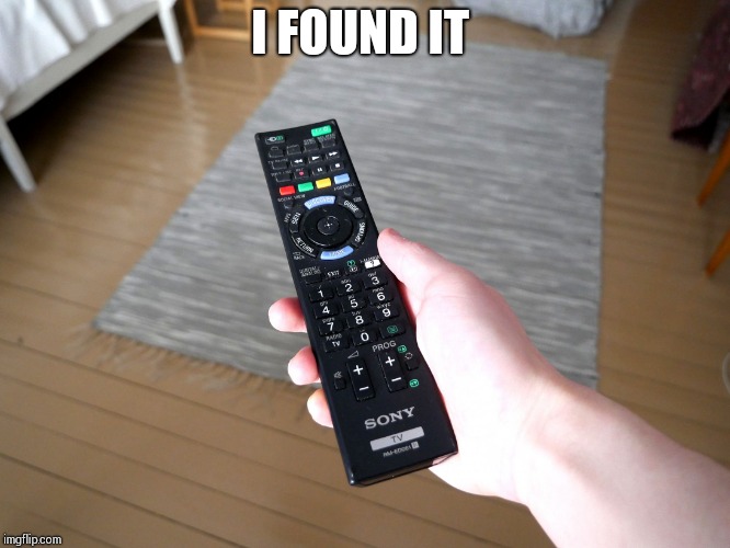 remote control | I FOUND IT | image tagged in remote control | made w/ Imgflip meme maker