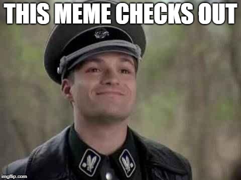 grammar nazi | THIS MEME CHECKS OUT | image tagged in grammar nazi | made w/ Imgflip meme maker