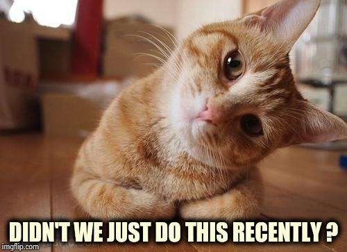 Curious Question Cat | DIDN'T WE JUST DO THIS RECENTLY ? | image tagged in curious question cat | made w/ Imgflip meme maker