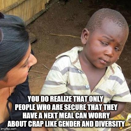 Third World Skeptical Kid Meme | YOU DO REALIZE THAT ONLY PEOPLE WHO ARE SECURE THAT THEY HAVE A NEXT MEAL CAN WORRY ABOUT CRAP LIKE GENDER AND DIVERSITY | image tagged in memes,third world skeptical kid | made w/ Imgflip meme maker