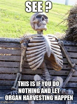 Waiting Skeleton Meme | SEE ? THIS IS IF YOU DO NOTHING AND LET ORGAN HARVESTING HAPPEN | image tagged in memes,waiting skeleton | made w/ Imgflip meme maker