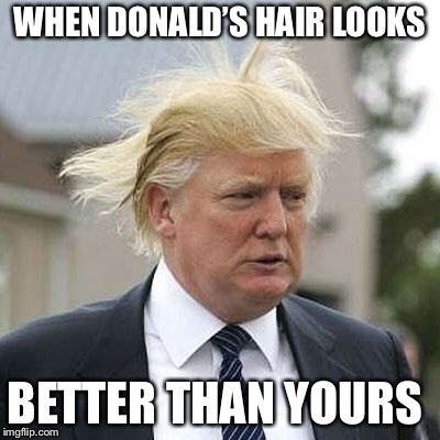 Donald Trump | WHEN DONALD’S HAIR LOOKS; BETTER THAN YOURS | image tagged in donald trump | made w/ Imgflip meme maker