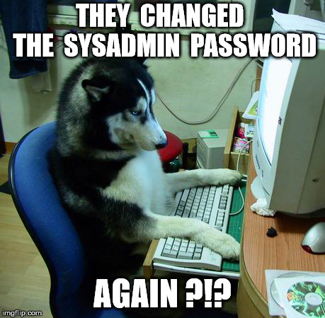 I Have No Idea What I Am Doing Meme | THEY  CHANGED  THE  SYSADMIN  PASSWORD AGAIN ?!? | image tagged in memes,i have no idea what i am doing | made w/ Imgflip meme maker