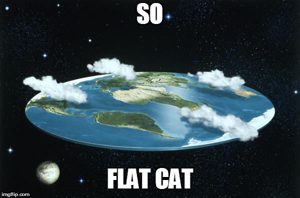 Flat Earth | SO FLAT CAT | image tagged in flat earth | made w/ Imgflip meme maker