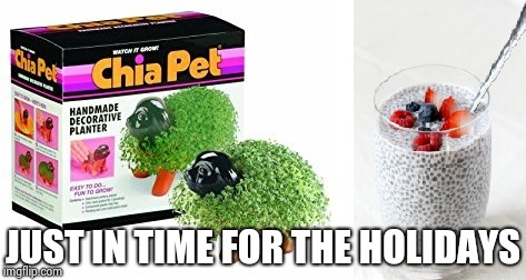 chia pet to chia seed | JUST IN TIME FOR THE HOLIDAYS | image tagged in chia pet to chia seed | made w/ Imgflip meme maker