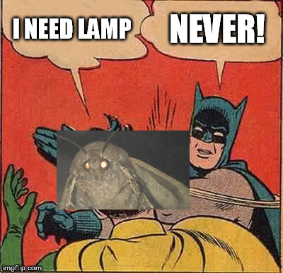 Batman Slapping Robin Meme | I NEED LAMP; NEVER! | image tagged in memes,batman slapping robin | made w/ Imgflip meme maker