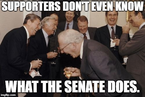 Laughing Men In Suits | SUPPORTERS DON'T EVEN KNOW; WHAT THE SENATE DOES. | image tagged in memes,laughing men in suits | made w/ Imgflip meme maker