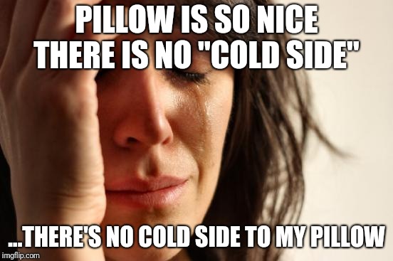 First World Problems Meme | PILLOW IS SO NICE THERE IS NO "COLD SIDE"; ...THERE'S NO COLD SIDE TO MY PILLOW | image tagged in memes,first world problems,AdviceAnimals | made w/ Imgflip meme maker