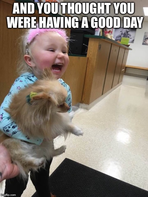 AND YOU THOUGHT YOU WERE HAVING A GOOD DAY | image tagged in dogs,happy,love,joy,happiness,veterinarian | made w/ Imgflip meme maker