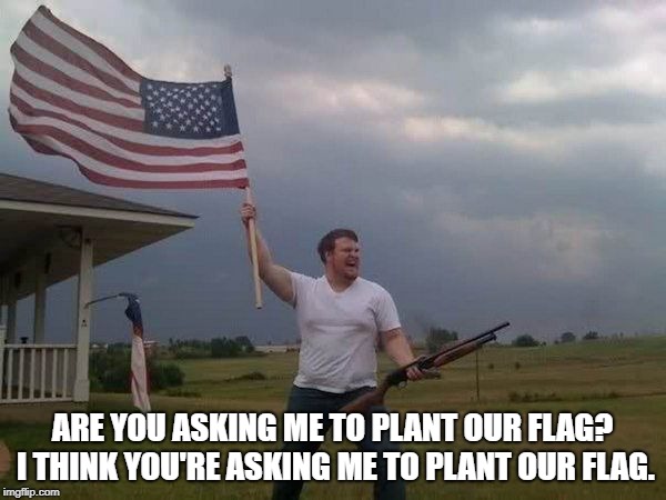American flag shotgun guy | ARE YOU ASKING ME TO PLANT OUR FLAG? I THINK YOU'RE ASKING ME TO PLANT OUR FLAG. | image tagged in american flag shotgun guy | made w/ Imgflip meme maker