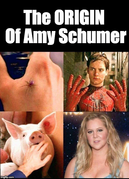 Origin of Amy Schumer | The ORIGIN Of Amy Schumer | image tagged in stupid liberals,pigs | made w/ Imgflip meme maker