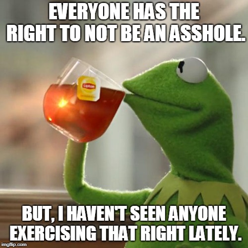 Maybe that's the problem | EVERYONE HAS THE RIGHT TO NOT BE AN ASSHOLE. BUT, I HAVEN'T SEEN ANYONE EXERCISING THAT RIGHT LATELY. | image tagged in memes,but thats none of my business,kermit the frog,first world problems,equality | made w/ Imgflip meme maker