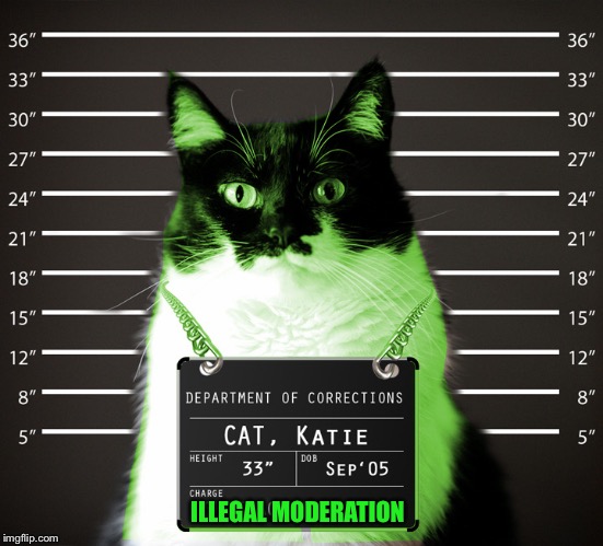 RayCat Incarcerated | ILLEGAL MODERATION | image tagged in raycat incarcerated | made w/ Imgflip meme maker