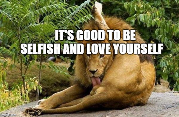 Self Gratification | IT'S GOOD TO BE SELFISH AND LOVE YOURSELF | image tagged in self gratification | made w/ Imgflip meme maker