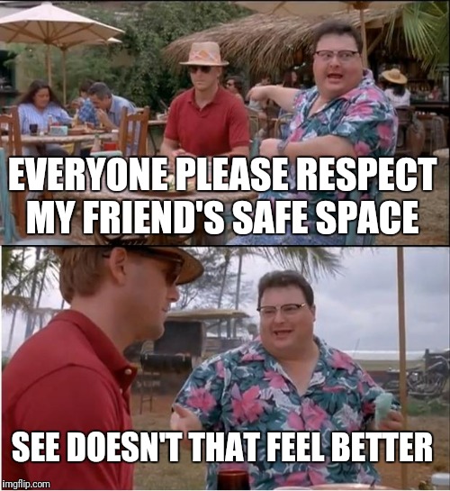 See Nobody Cares | EVERYONE PLEASE RESPECT MY FRIEND'S SAFE SPACE; SEE DOESN'T THAT FEEL BETTER | image tagged in memes,see nobody cares | made w/ Imgflip meme maker