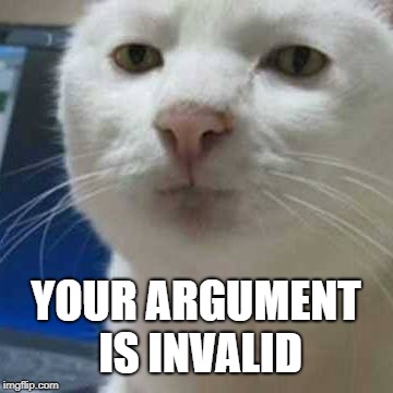  YOUR ARGUMENT IS INVALID | image tagged in cat,your argument is invalid,meanwhile on imgflip,politics,what if i told you,that face you make | made w/ Imgflip meme maker