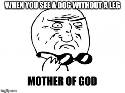 Mother Of God | WHEN YOU SEE A DOG WITHOUT A LEG | image tagged in memes,mother of god | made w/ Imgflip meme maker