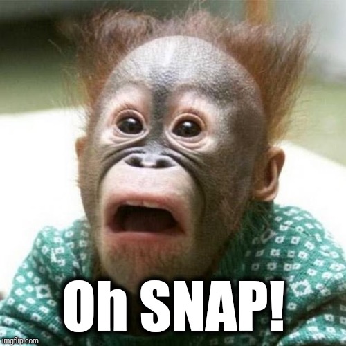 Shocked Monkey | Oh SNAP! | image tagged in shocked monkey | made w/ Imgflip meme maker