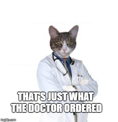 THAT'S JUST WHAT THE DOCTOR ORDERED | made w/ Imgflip meme maker