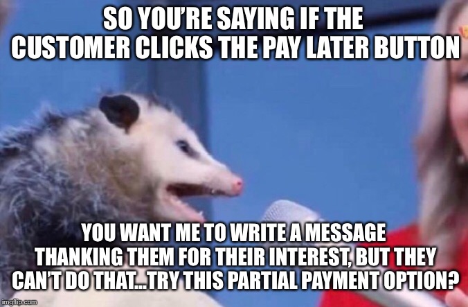 SO YOU’RE SAYING IF THE CUSTOMER CLICKS THE PAY LATER BUTTON; YOU WANT ME TO WRITE A MESSAGE THANKING THEM FOR THEIR INTEREST, BUT THEY CAN’T DO THAT...TRY THIS PARTIAL PAYMENT OPTION? | made w/ Imgflip meme maker