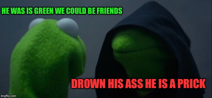 Evil Kermit Meme | HE WAS IS GREEN WE COULD BE FRIENDS DROWN HIS ASS HE IS A PRICK | image tagged in memes,evil kermit | made w/ Imgflip meme maker