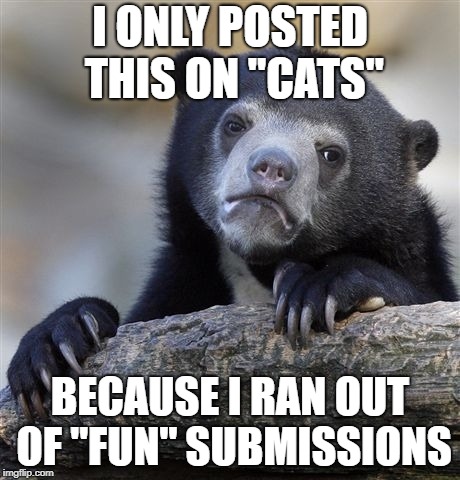 Confession Bear Meme | I ONLY POSTED THIS ON "CATS"; BECAUSE I RAN OUT OF "FUN" SUBMISSIONS | image tagged in memes,confession bear | made w/ Imgflip meme maker