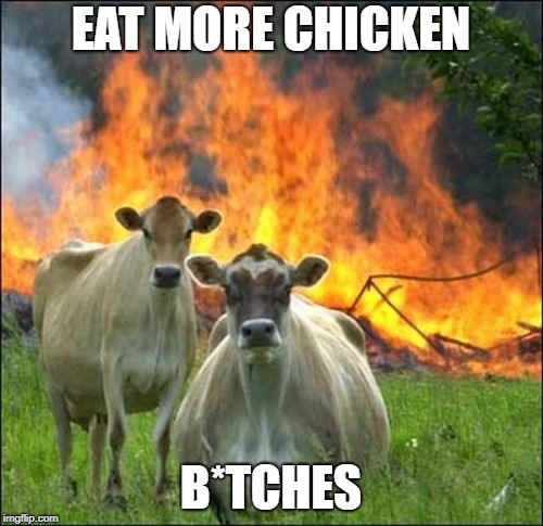 Evil Cows Meme | EAT MORE CHICKEN B*TCHES | image tagged in memes,evil cows | made w/ Imgflip meme maker