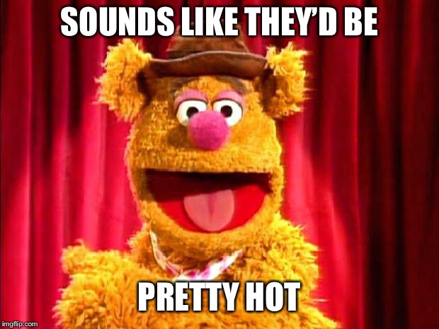 SOUNDS LIKE THEY’D BE PRETTY HOT | image tagged in fozzie bear joke | made w/ Imgflip meme maker
