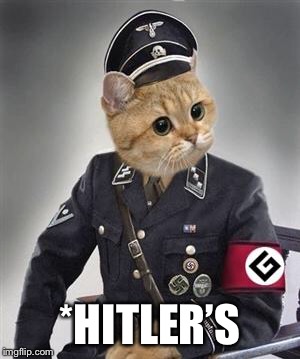 *HITLER’S | image tagged in grammar nazi cat | made w/ Imgflip meme maker