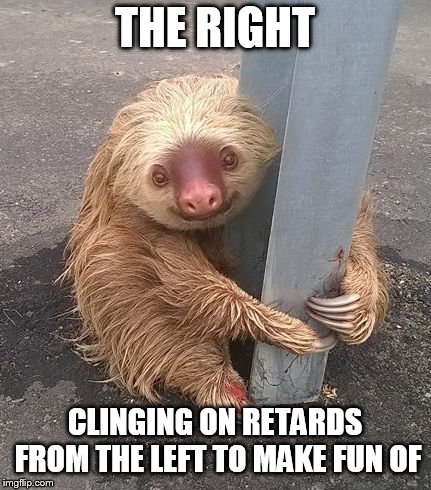 Sloth: Facebook Photos Show Small Mammal Clinging to Traffic Bar | THE RIGHT CLINGING ON RETARDS FROM THE LEFT TO MAKE FUN OF | image tagged in sloth facebook photos show small mammal clinging to traffic bar | made w/ Imgflip meme maker