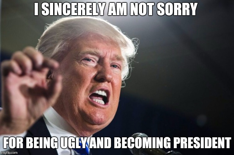 donald trump | I SINCERELY AM NOT SORRY; FOR BEING UGLY AND BECOMING PRESIDENT | image tagged in donald trump | made w/ Imgflip meme maker