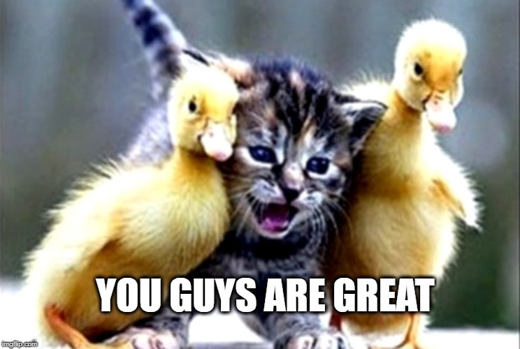 Grateful for friendship | YOU GUYS ARE GREAT | image tagged in friends,friendship,cats,love,i love you,imgflip community | made w/ Imgflip meme maker