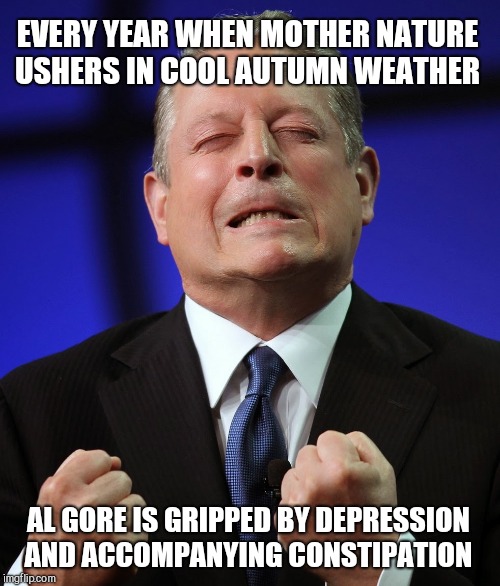 EVERY YEAR WHEN MOTHER NATURE USHERS IN COOL AUTUMN WEATHER; AL GORE IS GRIPPED BY DEPRESSION AND ACCOMPANYING CONSTIPATION | image tagged in al gore,fear mongering,political humor | made w/ Imgflip meme maker