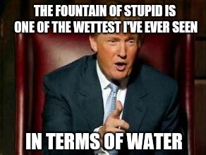 Donald Trump | THE FOUNTAIN OF STUPID IS ONE OF THE WETTEST I'VE EVER SEEN IN TERMS OF WATER | image tagged in donald trump | made w/ Imgflip meme maker