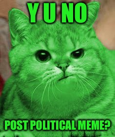 RayCat Annoyed | Y U NO POST POLITICAL MEME? | image tagged in raycat annoyed | made w/ Imgflip meme maker