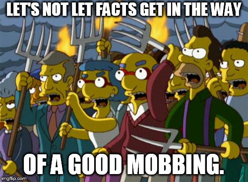 Simpsons Mob | LET'S NOT LET FACTS GET IN THE WAY; OF A GOOD MOBBING. | image tagged in simpsons mob | made w/ Imgflip meme maker