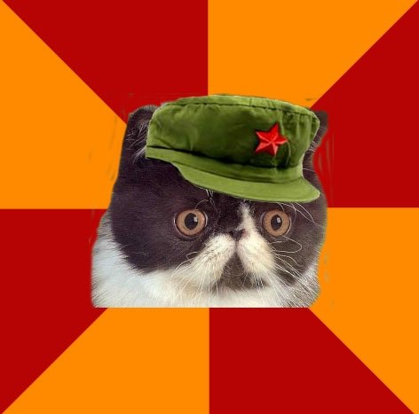 High Quality communist cat Blank Meme Template