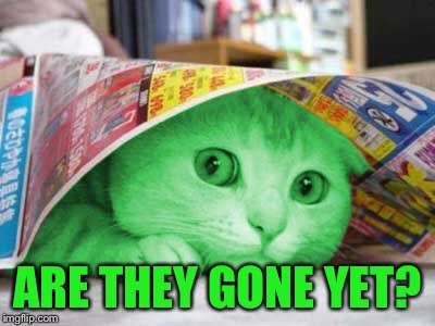 RayCat Scared | ARE THEY GONE YET? | image tagged in raycat scared | made w/ Imgflip meme maker
