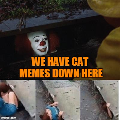 pennywise in sewer | WE HAVE CAT MEMES DOWN HERE | image tagged in pennywise in sewer | made w/ Imgflip meme maker