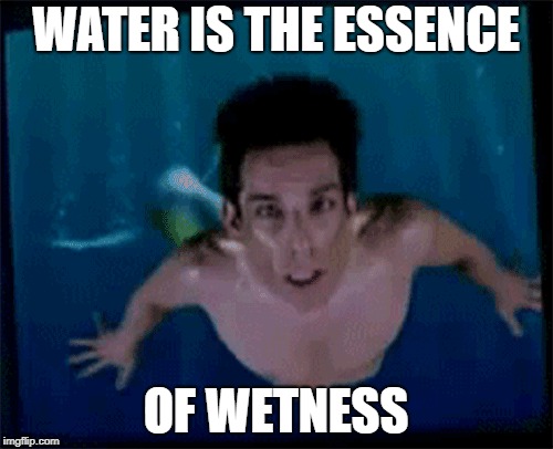 WATER IS THE ESSENCE OF WETNESS | made w/ Imgflip meme maker