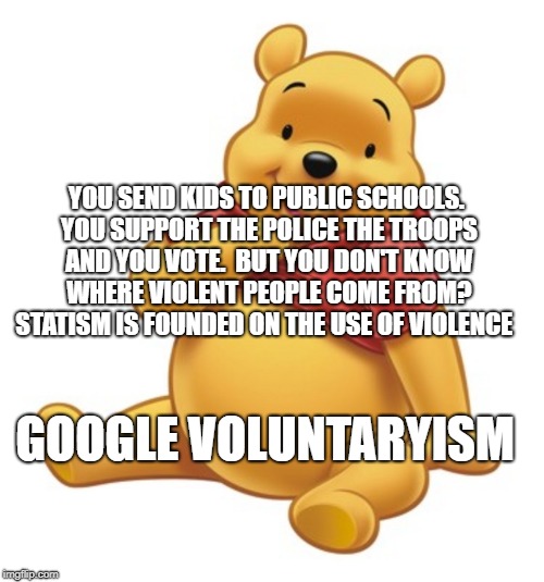 Winnie the Warrior | YOU SEND KIDS TO PUBLIC SCHOOLS. YOU SUPPORT THE POLICE THE TROOPS AND YOU VOTE.  BUT YOU DON'T KNOW WHERE VIOLENT PEOPLE COME FROM? STATISM IS FOUNDED ON THE USE OF VIOLENCE; GOOGLE VOLUNTARYISM | image tagged in winnie the warrior | made w/ Imgflip meme maker