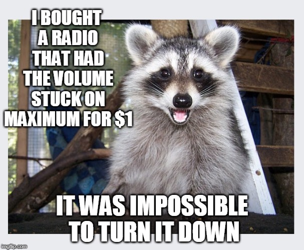 Deal Of The Day | I BOUGHT A RADIO THAT HAD THE VOLUME STUCK ON MAXIMUM FOR $1; IT WAS IMPOSSIBLE TO TURN IT DOWN | image tagged in lame pun coon,lame oun,radio,deal of the day | made w/ Imgflip meme maker