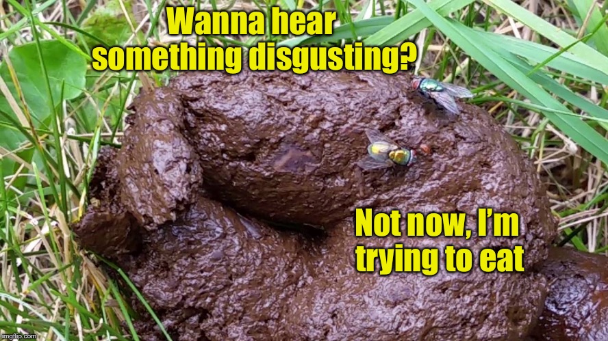 I wonder what flies consider “disgusting“? | Wanna hear something disgusting? Not now, I’m trying to eat | image tagged in memes,flies,poop,disgusting | made w/ Imgflip meme maker