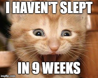 Excited Cat Meme | I HAVEN'T SLEPT IN 9 WEEKS | image tagged in memes,excited cat | made w/ Imgflip meme maker