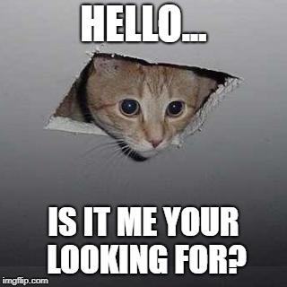 Ceiling Cat | HELLO... IS IT ME YOUR LOOKING FOR? | image tagged in memes,ceiling cat | made w/ Imgflip meme maker