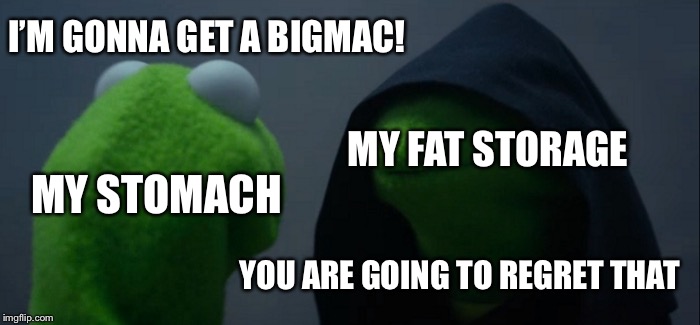Evil Kermit Meme | I’M GONNA GET A BIGMAC! MY FAT STORAGE; MY STOMACH; YOU ARE GOING TO REGRET THAT | image tagged in memes,evil kermit | made w/ Imgflip meme maker